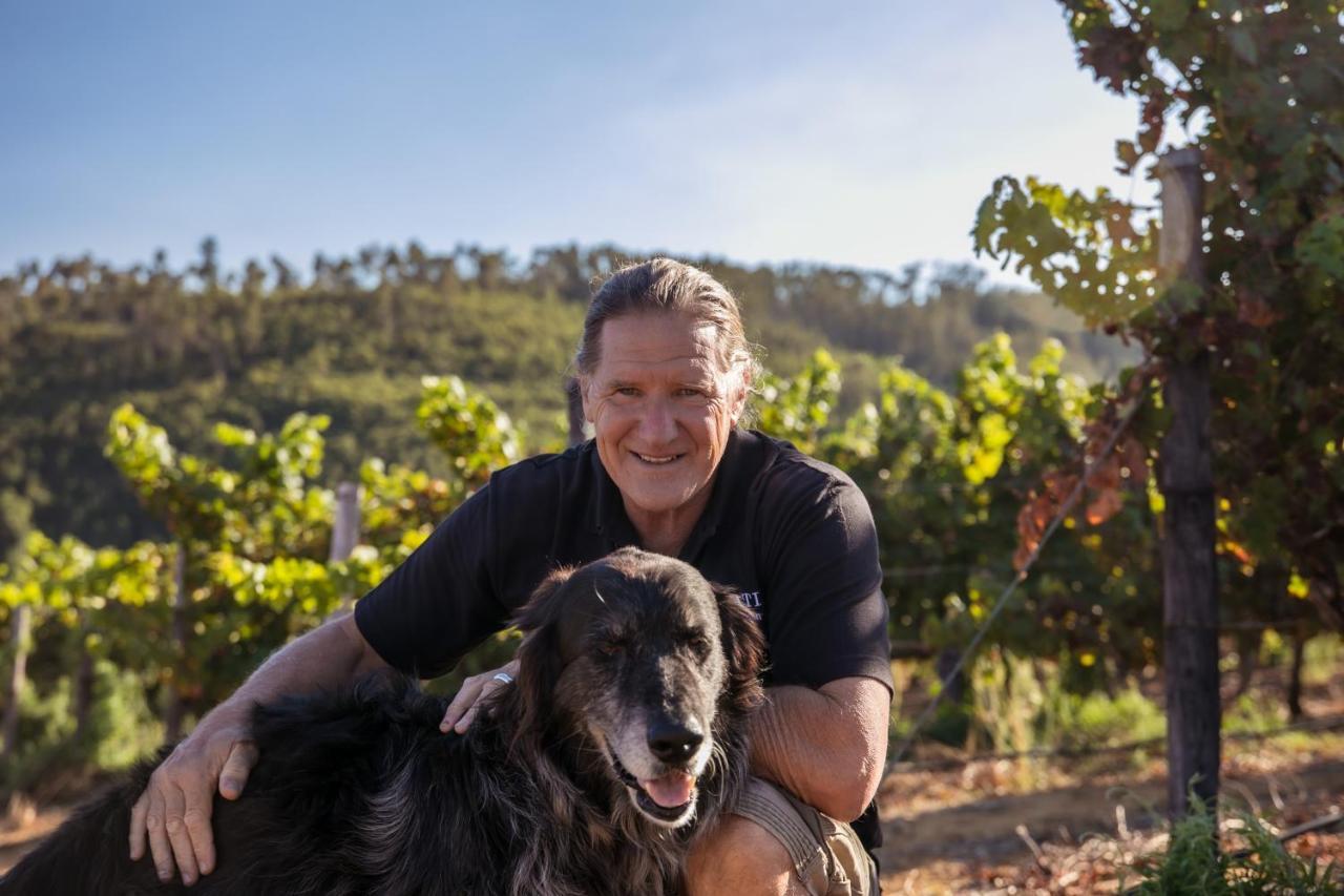 Muratie Wine Estate Stellenbosch Dış mekan fotoğraf