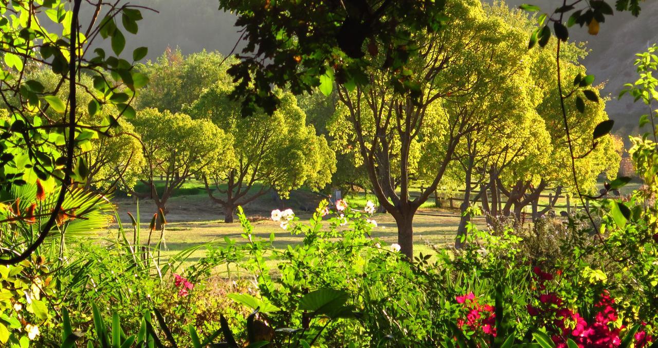 Muratie Wine Estate Stellenbosch Dış mekan fotoğraf