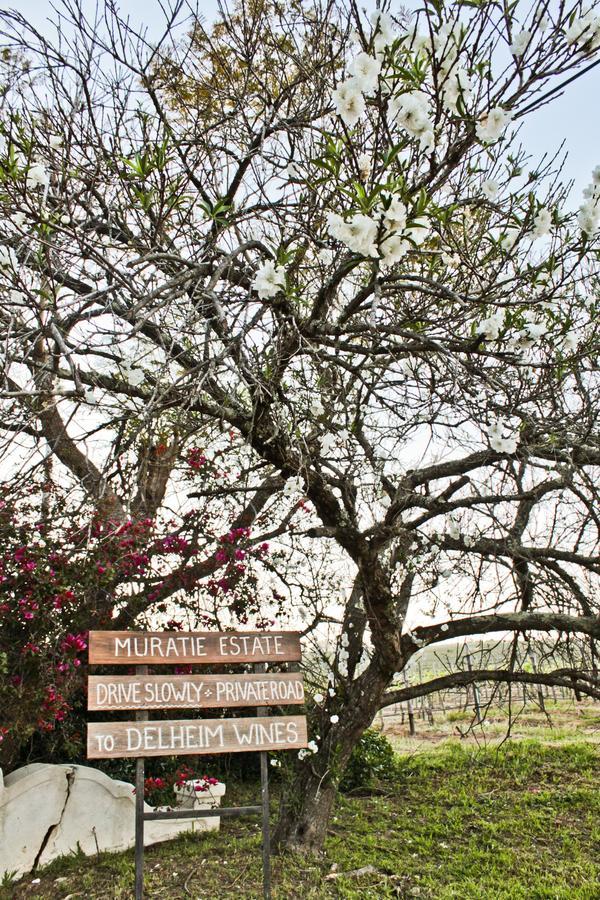 Muratie Wine Estate Stellenbosch Dış mekan fotoğraf
